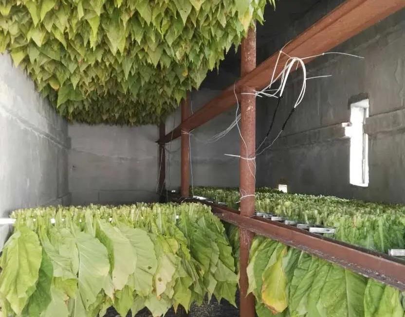 1606980073875649.jpg 微信圖片_20201203150952.jpg