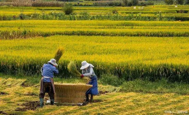 1607061110421249.jpg 微信圖片_20201204135023.jpg