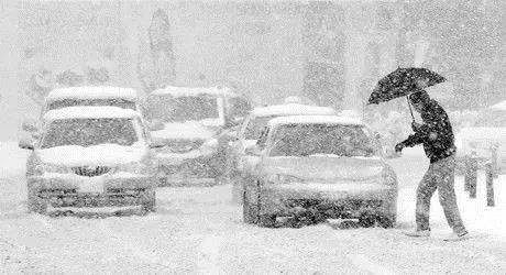 1609133680377840.jpg 2.jpg