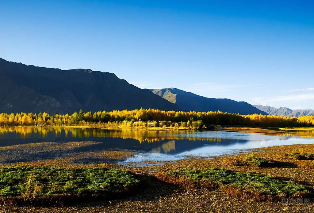 1649661829209020.jpg 微信圖片_20220411151007.jpg