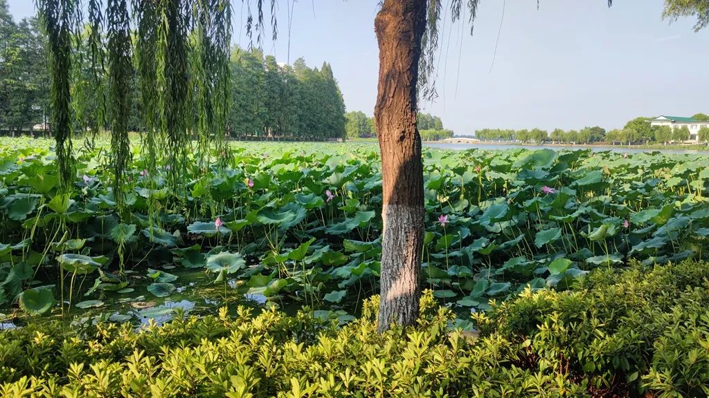 1649925002944835.jpg 微信圖片_20220414161928.jpg